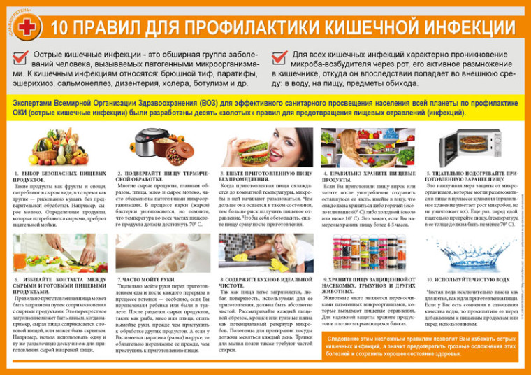 Профилактика острых кишечных инфекций (ОКИ).